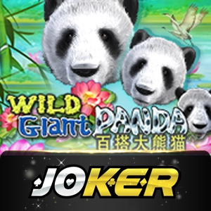 Joker123 - summer138
