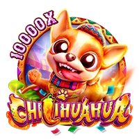 CHILIHUAHUA - SUMMER138