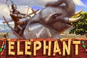 ELEPHANT - SUMMER138