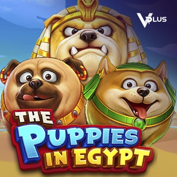 The Puppies In Egypt - SUMMER138